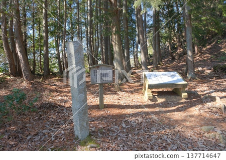 Ruins of the tea house at the site of Odani Castle 137714647