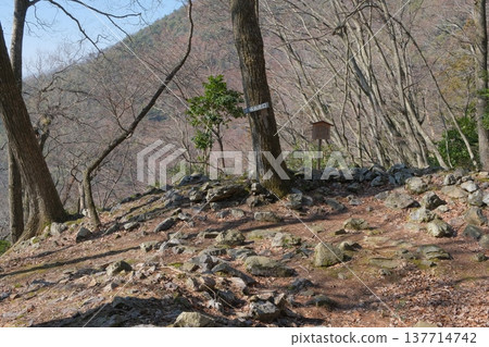 小谷城遺址上的京極丸門 137714742