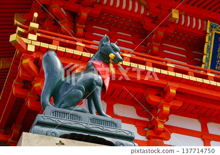 Kyoto, Japan - Sep 23 2024, Close-up view of the stone statue of kitsune, a Japanese fox holding a golden object in its mouth, with red facade of Fushimi-Inari Temple in background, Kyoto, Japan Kyoto, Japan - Sep 23 2024, Close-up view of the stone statue of kitsune, a Japanese fox holding a golden object in its mouth, with red facade of Fushimi-Inari Temple in background, Kyoto, Japan 137714750
