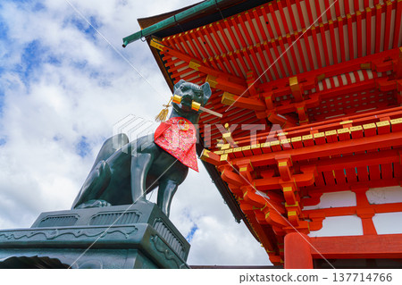 Kyoto, Japan - Sep 23 2024, Close-up view of the stone statue of kitsune, a Japanese fox holding a golden object in its mouth, with red facade of Fushimi-Inari Temple in background, Kyoto, Japan Kyoto, Japan - Sep 23 2024, Close-up view of the stone statue of kitsune, a Japanese fox holding a golden object in its mouth, with red facade of Fushimi-Inari Temple in background, Kyoto, Japan 137714766