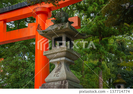 Kyoto, Japan - Sep 23 2024, panoramic view of the stone lantern with the giant red Torii gate and the foliage of trees in the background, Fushimi Inari Temple, without people, at daytime, Kyoto, Japan 137714774
