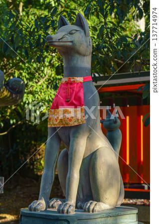 Kyoto, Japan - Sep 23 2024, Close-up view of the stone statue of kitsune, a Japanese fox holding a golden object in its mouth, with red facade of Fushimi-Inari Temple in background, Kyoto, Japan Kyoto, Japan - Sep 23 2024, Close-up view of the stone statue of kitsune, a Japanese fox holding a golden object in its mouth, with red facade of Fushimi-Inari Temple in background, Kyoto, Japan 137714974