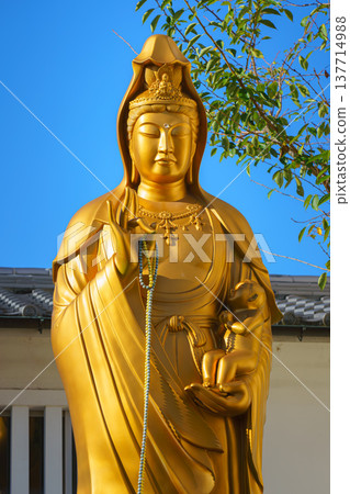 Kyoto, Japan - Sep 23 2024, vertical, close up view of golden statue of Avalokiteshvara Bodhisattva Kanzeon at Fushimi Inari Grand Shrine, at daytime, without people, Kyoto, Japan Kyoto, Japan - Sep 23 2024, vertical, close up view of golden statue of Avalokiteshvara Bodhisattva Kanzeon at Fushimi Inari Grand Shrine, at daytime, without people, Kyoto, Japan 137714988