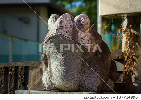 Kyoto, Japan - Sep 23 2024, Close-up view of the stone frog statues at Fushimi Inari Temple, at daytime, without people, Kyoto, Japan Kyoto, Japan - Sep 23 2024, Close-up view of the stone frog statues at Fushimi Inari Temple, at daytime, without people, Kyoto, Japan 137714990