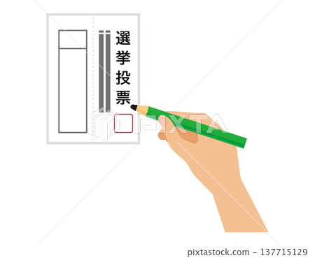 Illustration of filling out a ballot paper; election icon Illustration of filling out a ballot paper; election icon 137715129