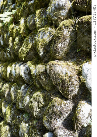 Mossy stone wall Mossy stone wall 137715405