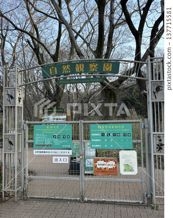 野川公園自然觀察區的入口 野川公園自然觀察區的入口 137715581