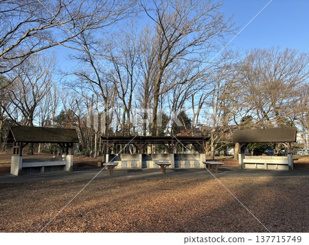 野川公園男子露營地 野川公園男子露營地 137715749
