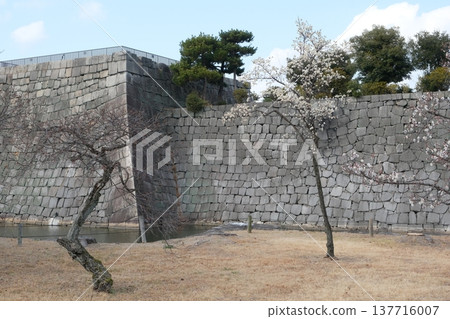 Nijo Castle Honmaru Palace and Plum Grove (former imperial villa) Nijo Castle Honmaru Palace and Plum Grove (former imperial villa) 137716007