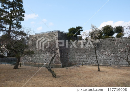 Nijo Castle Honmaru Palace and Plum Grove (former imperial villa) 137716008