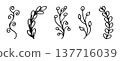 Collection of five delicate, black ink doodle-style botanical branches and leaves on white 137716039
