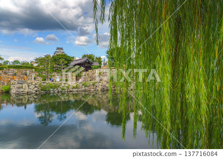 Himeji, Japan - Sep 24 2024, panoramic view through foliage of a tree, at entrance gate, pond with mirrored water, with White Heron Castle on background, at daytime with cloudy sky, Himeji, Japan Himeji, Japan - Sep 24 2024, panoramic view through foliage of a tree, at entrance gate, pond with mirrored water, with White Heron Castle on background, at daytime with cloudy sky, Himeji, Japan 137716084