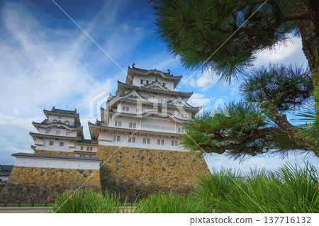 Himeji, Japan - Sep 24 2024, panoramic view of Himeji Castle, White Heron Castle from below, through tree foliage in daytime with blue sky and clouds, without people, Himeji, Japan Himeji, Japan - Sep 24 2024, panoramic view of Himeji Castle, White Heron Castle from below, through tree foliage in daytime with blue sky and clouds, without people, Himeji, Japan 137716132