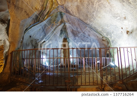 馬來西亞黑風洞 137716264