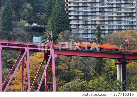 The Kurobe Gorge in autumn foliage: A trolley train passing over the Shin-Yamahiko Bridge. 137716319