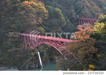Autumn foliage in the Kurobe Gorge: Yamahiko Bridge and Shin-Yamahiko Bridge in the early morning. Autumn foliage in the Kurobe Gorge: Yamahiko Bridge and Shin-Yamahiko Bridge in the early morning. 137716320