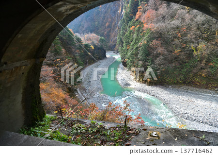 View from the Kurobe Gorge Railway's trolley train. 137716462