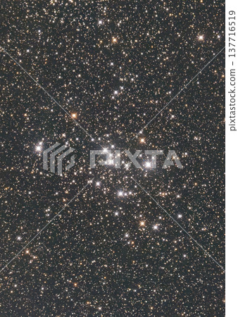 M47 Open Cluster 2026 M47 Open Cluster 2026 137716519