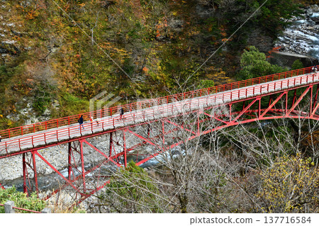 黑部峽谷鐵道、欅平奧金橋 黑部峽谷鐵道、欅平奧金橋 137716584