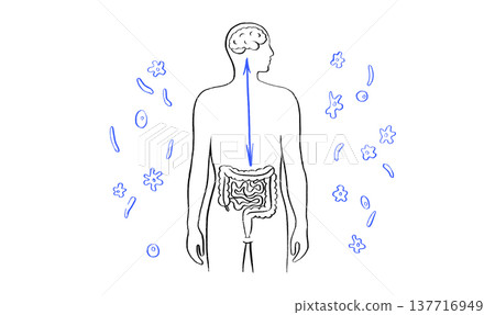 Gut Brain Connection 137716949