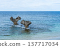 Heart rock of Koryu Island 137717034