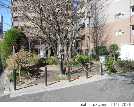 chiyodward, chuo city, business district 137717036