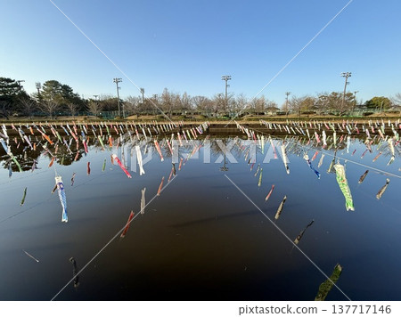 Tatebayashi City Cherry Blossom and Carp Streamer Festival: The world's largest number of carp streamers reflected in the Tsuruuda River Tatebayashi City Cherry Blossom and Carp Streamer Festival: The world's largest number of carp streamers reflected in the Tsuruuda River 137717146