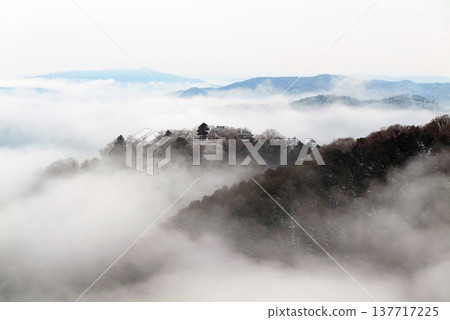 Winter sea of clouds and Bitchu Matsuyama Castle (castle in the sky) 25566 Winter sea of clouds and Bitchu Matsuyama Castle (castle in the sky) 25566 137717225