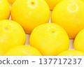 Tosa Buntan, large citrus fruit, multiple 137717237
