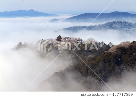 冬季雲海與備中松山城（天空之城）25154 137717599
