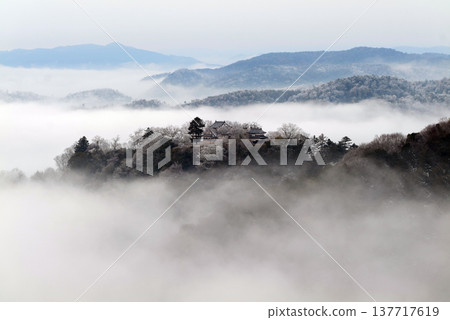 Winter sea of clouds and Bitchu Matsuyama Castle (castle in the sky) 25330 137717619