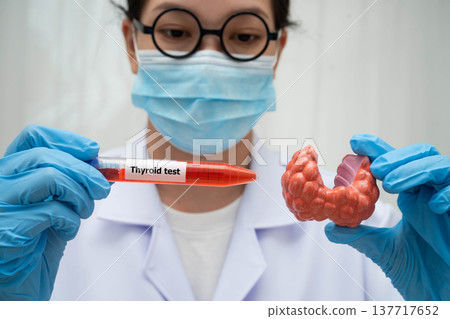 Doctor holding thyroid gland model and blood sample test tube in laboratory. Doctor holding thyroid gland model and blood sample test tube in laboratory. 137717652