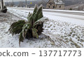 Toppled evergreen beside icy highway, restoration planning 137717773