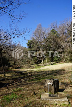 東京町田市小山田綠園主庭景 137717803