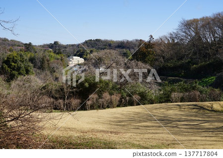東京町田市小山田綠地主公園週邊景色 東京町田市小山田綠地主公園週邊景色 137717804
