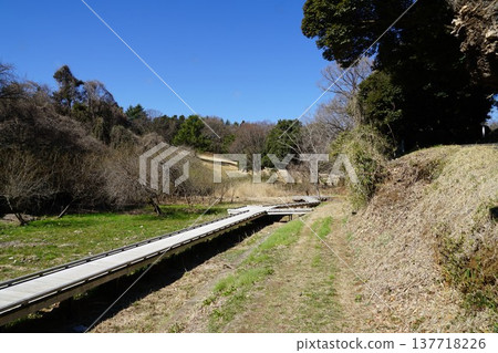 Scenery around Asaza Pond in the Umekikubo branch of Oyamada Ryokuchi Park in Machida City, Tokyo. 137718226