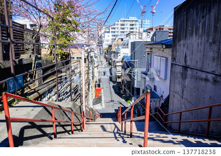 東京新宿區菅神社：通往神社的男階（Otoko-zaka）是動畫《你的名字》的主題。 137718238