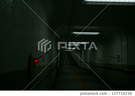 Horror! The only sound you can hear is footsteps in the underground passage in the middle of the night. 137718256