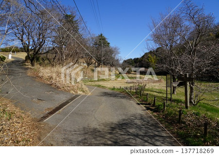 東京町田市大山田綠地公園梅木窪分園淺池周圍的景色。 東京町田市大山田綠地公園梅木窪分園淺池周圍的景色。 137718269