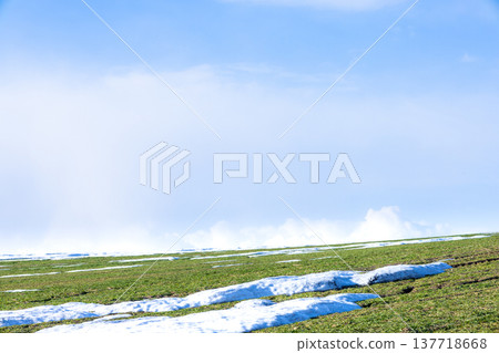 A landscape of wheat fields on a hill in Biei, Hokkaido, in early spring when snow still remains. 137718668