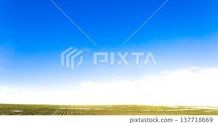 A landscape of wheat fields on a hill in Biei, Hokkaido, in early spring when snow still remains. 137718669