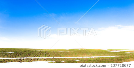 A landscape of wheat fields on a hill in Biei, Hokkaido, in early spring when snow still remains. 137718677
