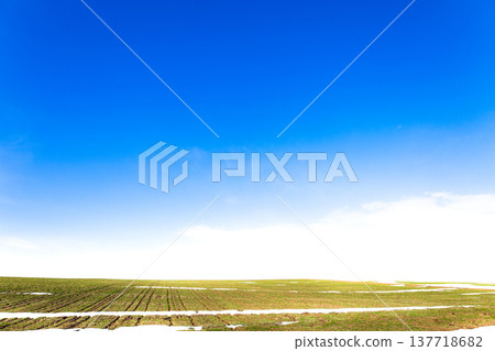 北海道美瑛市山坡上，春末夏初，白雪尚未完全消融，可以看到一片麥田景色。 137718682