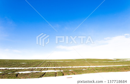 A landscape of wheat fields on a hill in Biei, Hokkaido, in early spring when snow still remains. 137718684