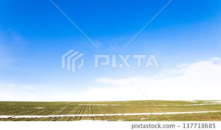 A landscape of wheat fields on a hill in Biei, Hokkaido, in early spring when snow still remains. 137718685