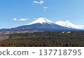 Mount Fuji visible beyond the forest 137718795