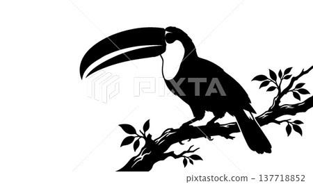 silhouette of a toucan silhouette of a toucan 137718852