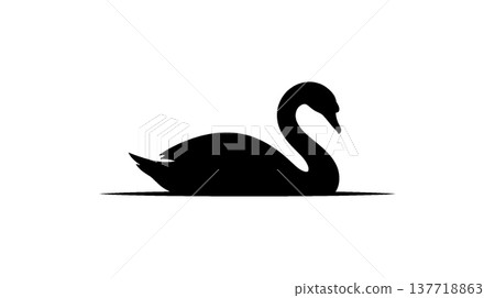 白色背景上的黑色天鵝剪影。 白色背景上的黑色天鵝剪影。 137718863