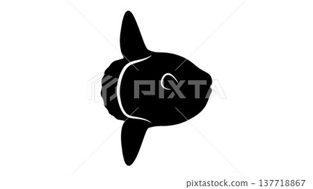 Sunfish silhouette illustration Sunfish silhouette illustration 137718867