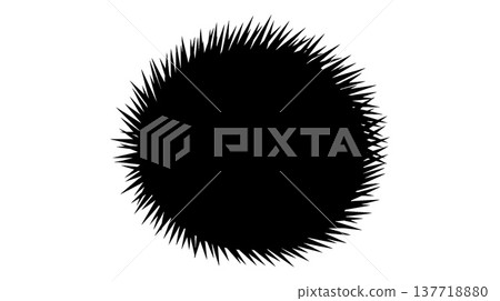 Jagged black circular silhouette Jagged black circular silhouette 137718880